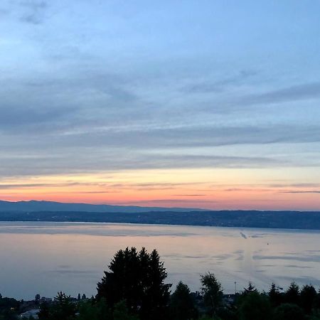 Les Vies En Rose Daire Évian-les-Bains Dış mekan fotoğraf