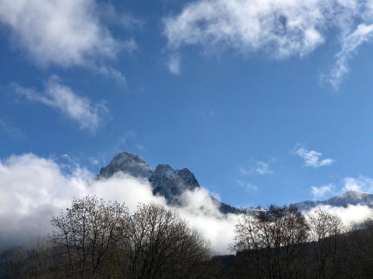Les Vies En Rose Daire Évian-les-Bains Dış mekan fotoğraf