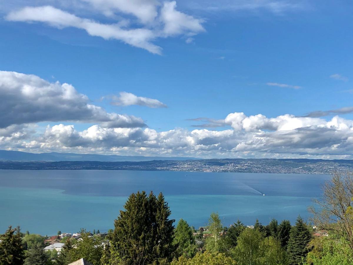 Les Vies En Rose Daire Évian-les-Bains Dış mekan fotoğraf